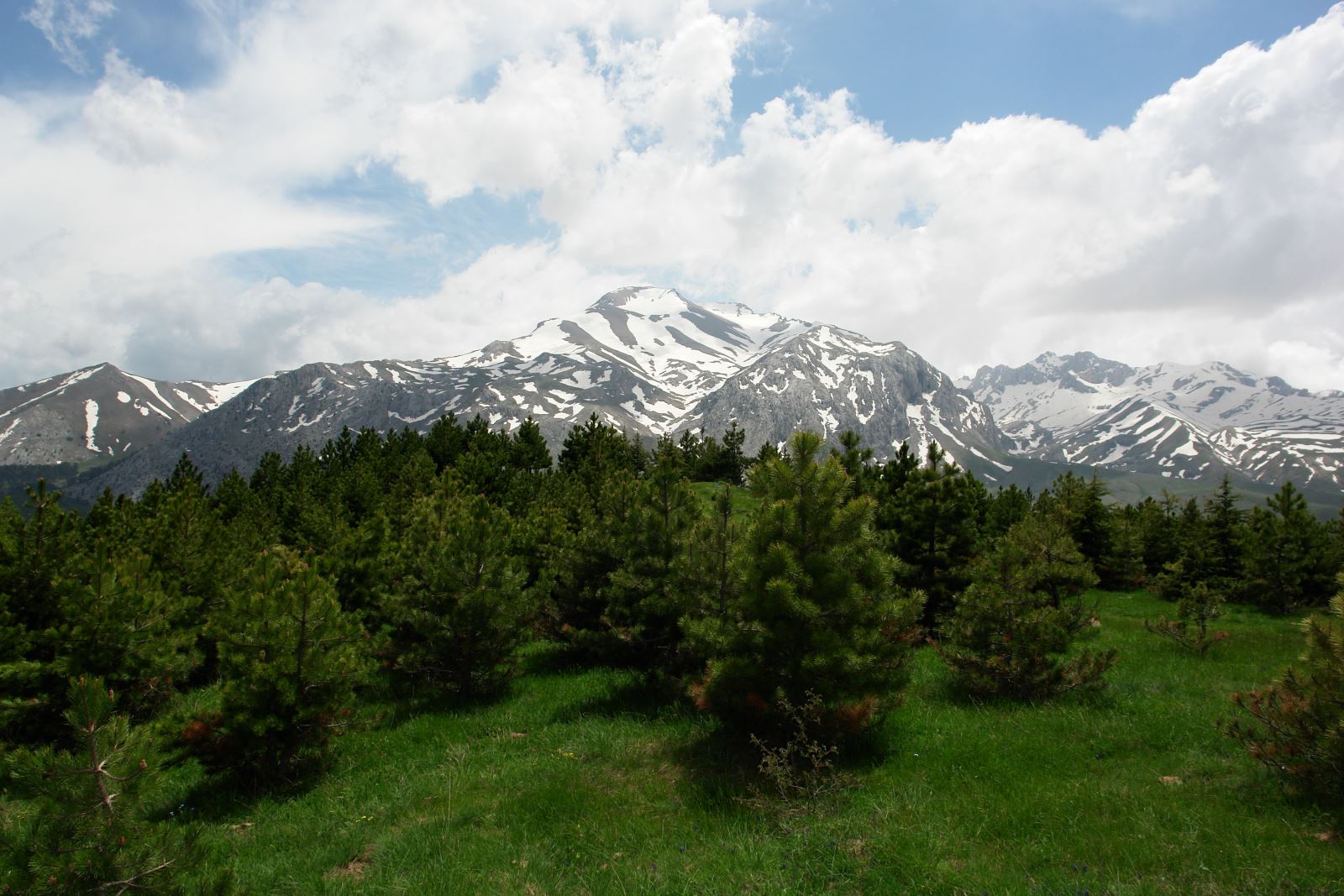 Yaz Sıcağından Kaçış: Isparta’nın En Serin 5 Yaylası ve Yayla Turizmi Rehberi